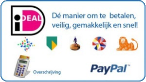 iDeal, Paypal